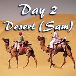 Day 2 in Sam desert