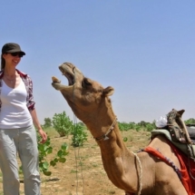 10. Camel Safari