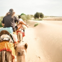 2. Camel Safari