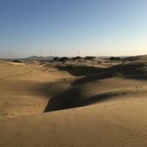 7. Sam sand dunes
