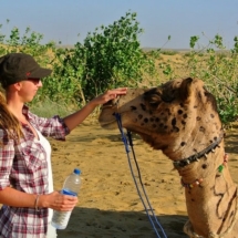 9. Camel Safari