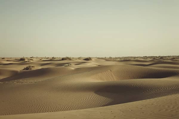 Jaisalmer sam sand dune desert