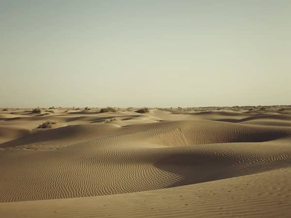 Jaisalmer sam sand dune desert